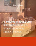 Il Risveglio della Vite