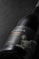 Foresto Riserva 2020 | La Forza e la Storia dell'Orso