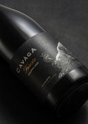 Foresto Riserva 2020 | La Forza e la Storia dell'Orso