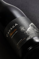 Foresto Riserva 2020 | La Forza e la Storia dell'Orso