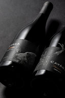 Foresto Riserva 2020 | La Forza e la Storia dell'Orso