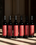 Raccolta Cavàga | Collezione Completa 50° Anniversario